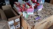 Newcastle headlines 11 August: Over £50,000 worth of vapes seized from North Tyneside