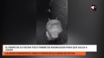 El perro de su vecina toca timbre de madrugada para que salga a jugar