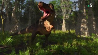 T-rex, le roi des dinosaures