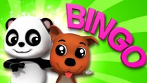 Bingo Dog Song - Bao Panda Nursery Rhymes For Children By Kids Tv