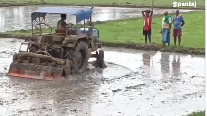 जहानाबाद: मानसून की सक्रियता से धान की रोपाई में आई तेजी, बारिश से खिले किसानों के चेहरे