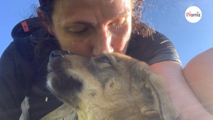 En vacances en Savoie, elle trouve un chien perdu et fait son possible pour retrouver son maître