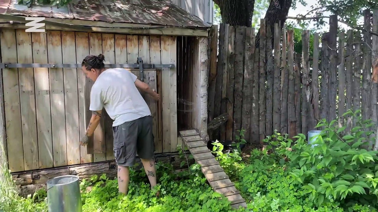 Comment fabriquer une couveuse pour poussins: On te dévoile les dessous d’un poulailler DIY