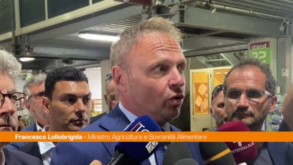 Lollobrigida "Su agroalimentare e turismo l'Italia è un'eccellenza"