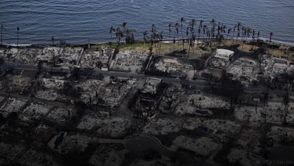55 personnes ont perdu la vie dans les incendies à Hawaï