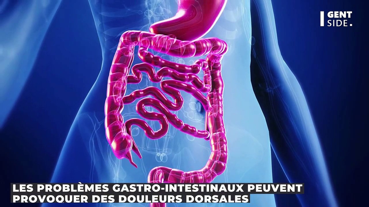 Si vous avez mal au dos après avoir mangé, vous souffrez peutêtre de ces maladies Vidéo