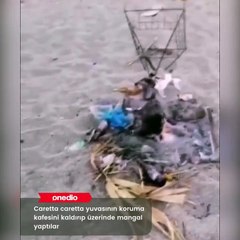 Antalya Gazipaşa’da kimliği belirsiz kişiler, koruma altına alınan caretta caretta yuvasının kafesini kaydırıp yuva üzerinde mangal yaptı.