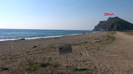 Caretta Caretta Yuvasına Zarar Verildi