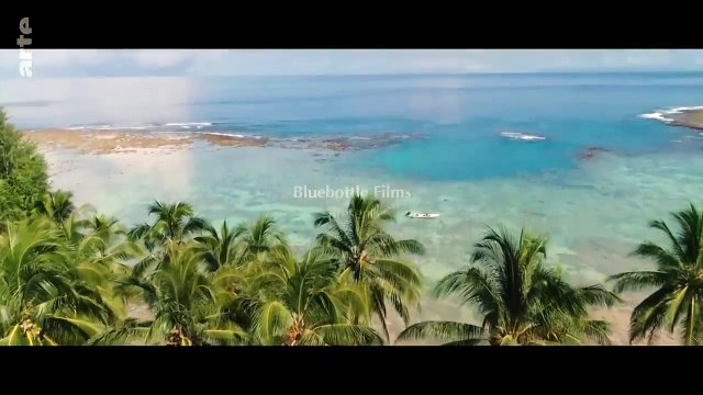 En route pour le paradis | ARTE