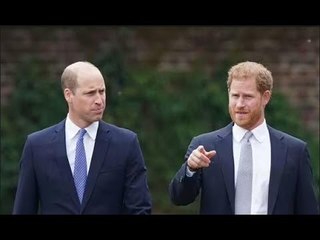 Harry e William "hanno bisogno di un intervento" poiché le tensioni ora sono così forti che "non si