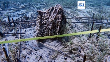 Un grupo de arqueólogos descubre el pueblo lacustre más antiguo de Europa