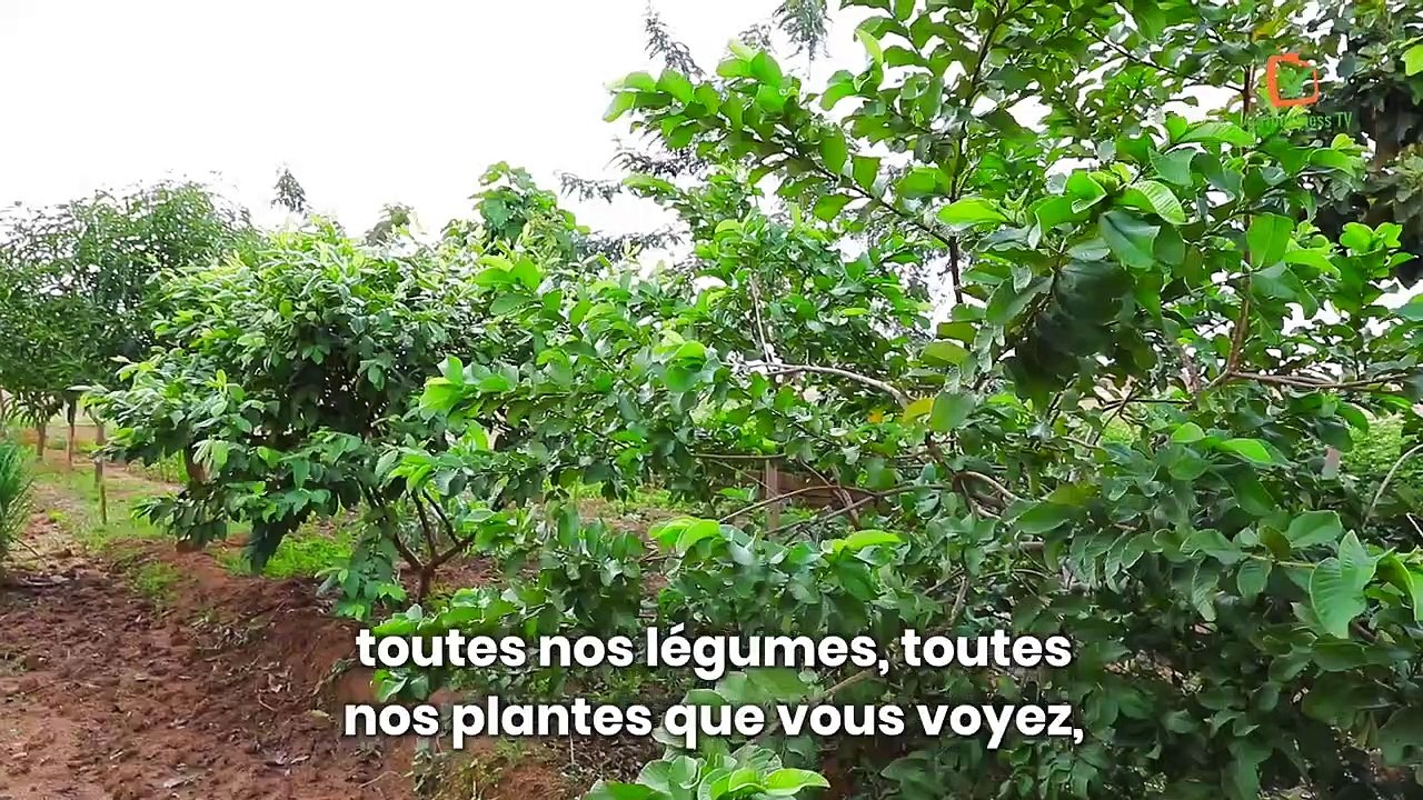 Burkina Faso : Elle élève des vers de terre