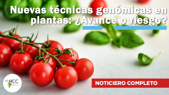 Nuevas técnicas genómicas en plantas: ¿Avance o riesgo? | 577 | 14 al 20 de agosto de 2023