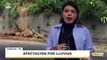 Removieron árboles caídos en Prados del Este tras fuerte tormenta en Caracas