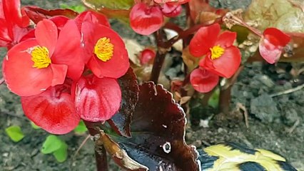 I'm just not feeling it today ️