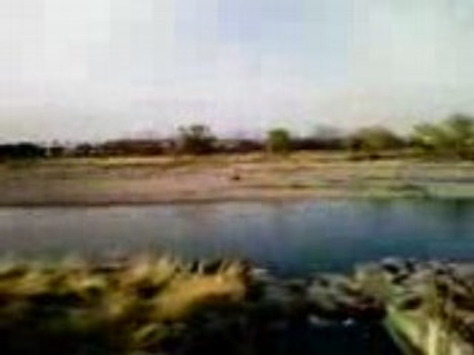 tamagawa
