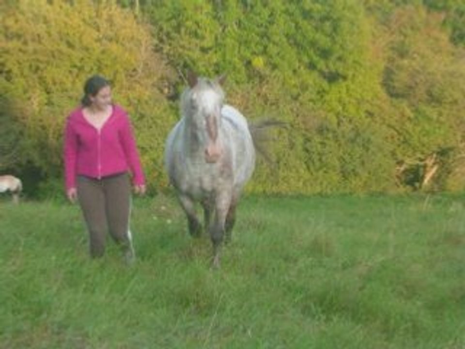 On ne change pas : la passion des chevaux