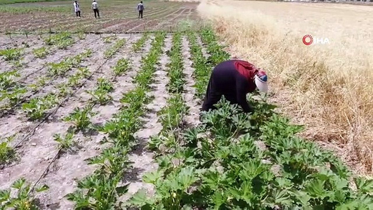 Okumanın Yaşı Olmaz Dediler, Geleceğin Mesleğine Adım Attılar