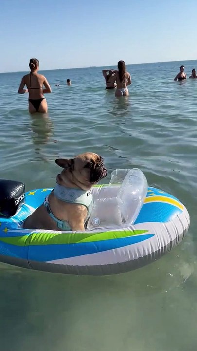 Journée de plage en bateau