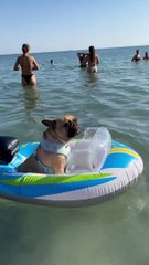 Journée de plage en bateau