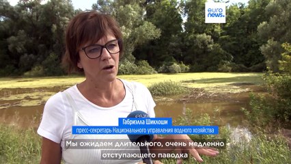 Как подготовиться к наводнению