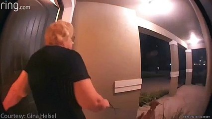 Mulher se assusta com urso escondido na porta de sua casa na Flórida; assista