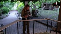 Elle recueille les animaux orphelins en Provence - ZAPPING SAUVAGE