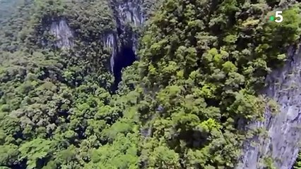 C'est la pire des grottes ! - ZAPPING SAUVAGE