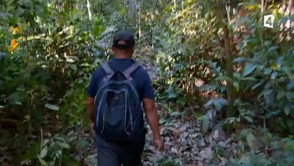 La plus grosse fourmi du monde ! - ZAPPING SAUVAGE