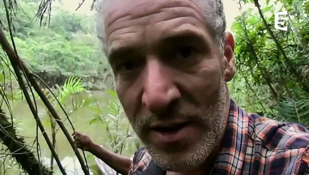 Ils capturent un anaconda à mains nues - ZAPPING SAUVAGE