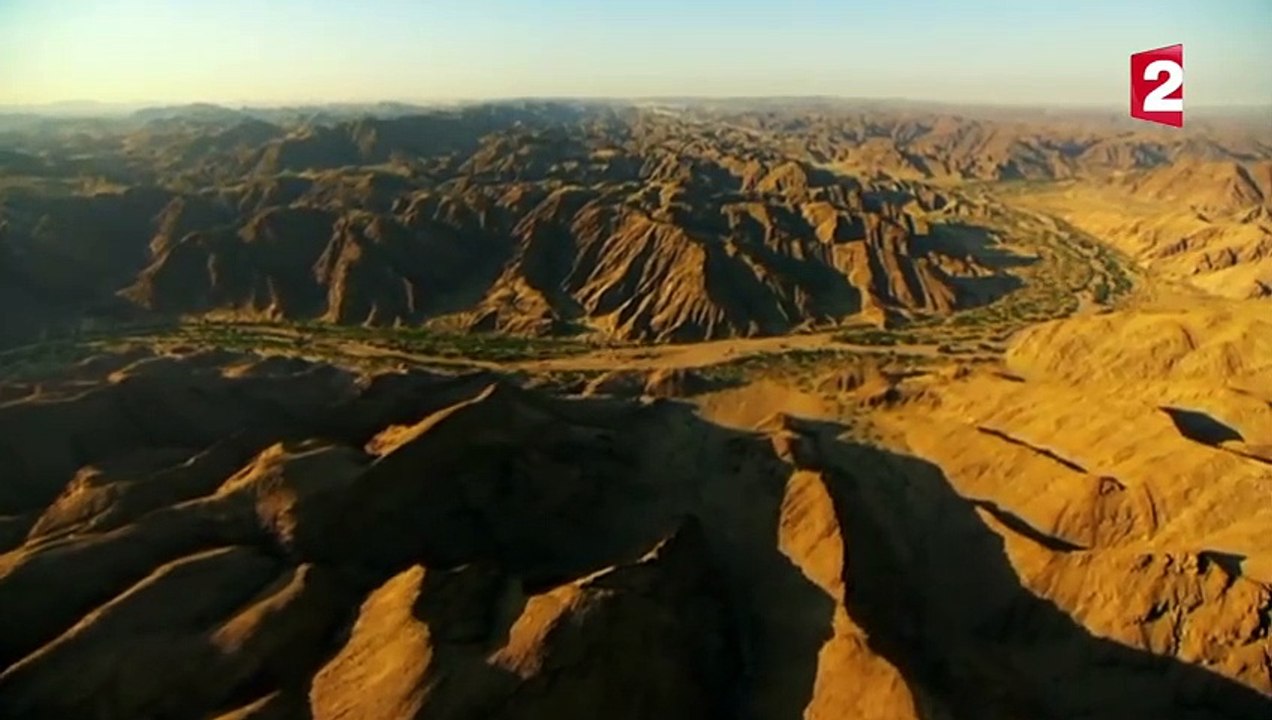 Combat de girafes violent - ZAPPING SAUVAGE