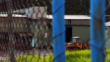Victoria becomes latest state to ban timber harvesting