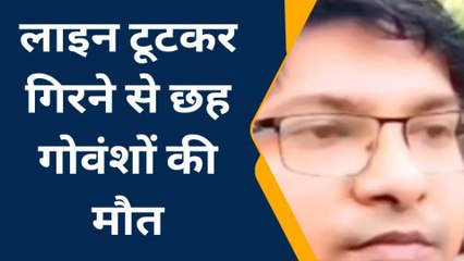 लखीमपुर: हाईटेंशन लाइन टूटने से छह गोवंशों की मौत, क्षेत्र में मचा हड़कंप