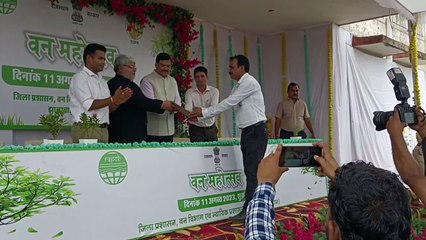 Planting trees and protecting them is the responsibility of all of us