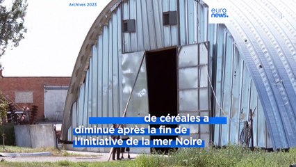 Guerre en Ukraine : Kyiv cherche des routes alternatives pour exporter ses céréales