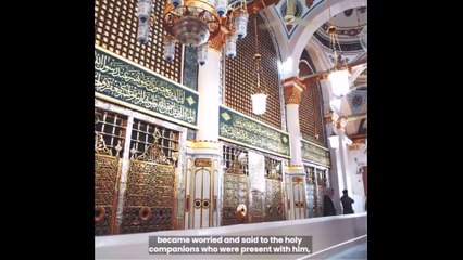 یہ دونوں سوار بھی تو بہت عمدہ ہیں