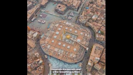 یہ دونوں سوار بھی تو بہت عمدہ ہیں