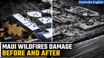 Hawaii Maui Wildfires: Maps and images reveal Maui devastation as death toll nears 70| Oneindia News