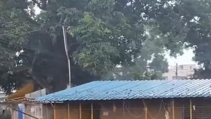 అల్లూరి జిల్లా: చిరుజల్లులతో తడిచిన మన్యం