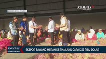 Ekspor Bawang Merah ke Thailand: Komitmen 3.360 Ton dengan Nilai Transaksi Rp.117 Miliar