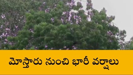 ఎన్టీఆర్: జిల్లాలో దంచికొడుతున్న వానలు