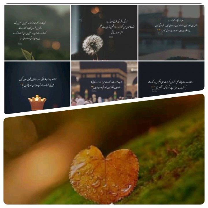 Life Quotes in Urdu / Motivational Urdu Quotes / Aqwal e Zareen