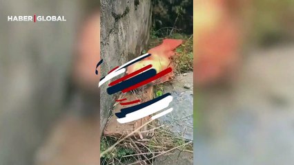 Dev semender görünüşüyle sosyal medyada büyük ilgi gördü