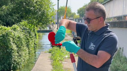 JO de Paris : la qualité de l'eau de la Seine reste "extrêmement surveillée"