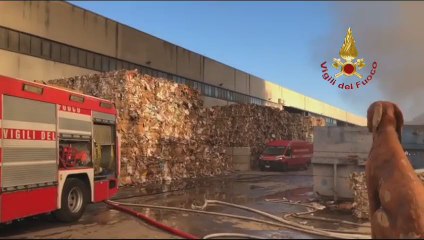 Napoli, incendio in un'azienda di rifiuti ad Arzano - Video