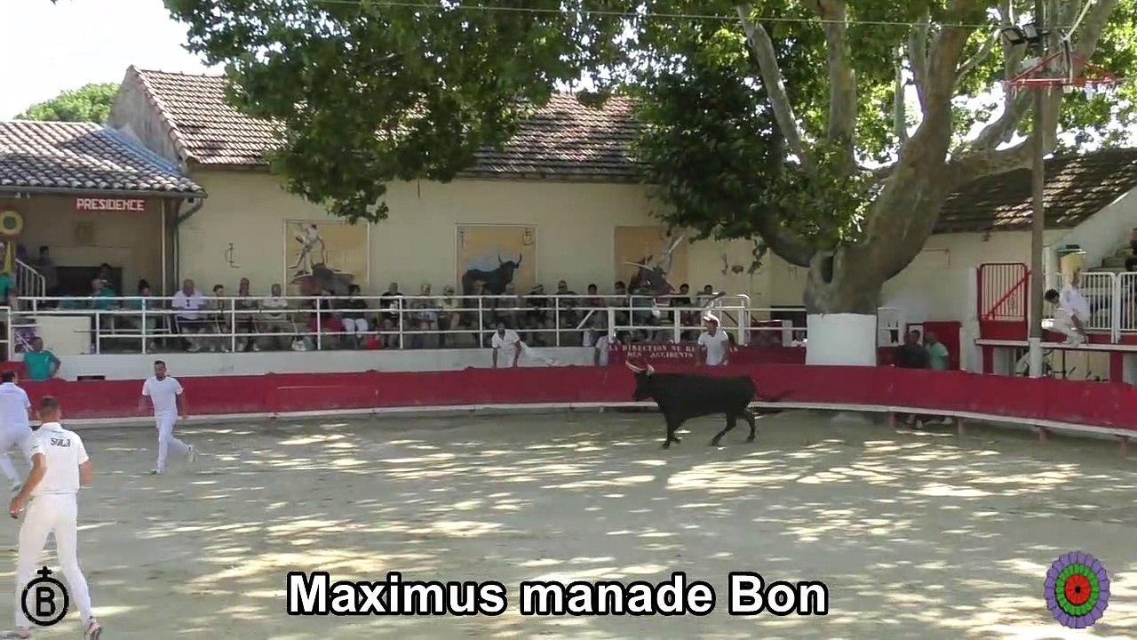 2023 07 30 Maximus