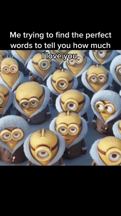 Me in front of my love (funny minnions)