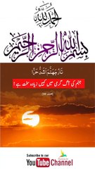 Quran , Al Quran Surah 09 Ayat 81 #viral #shorts #quran #youtubeshorts