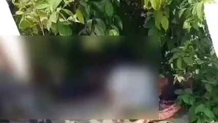 ములుగు: ఘోర రోడ్డు ప్రమాదం.. ఇద్దరికి తీవ్రగాయాలు