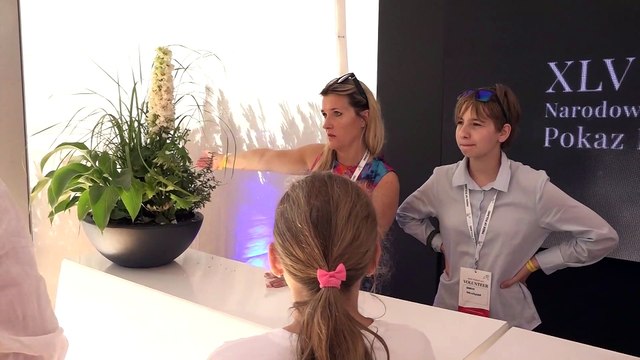 Nasze Miasto Janów Podlaski Pride Of Poland